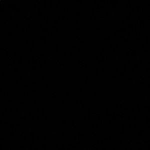 Meet your Posher, Sabrina